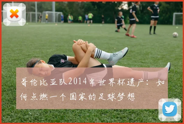 哥伦比亚队2014年世界杯遗产：如何点燃一个国家的足球梦想