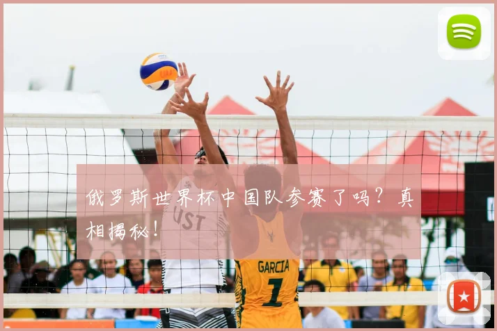 俄罗斯世界杯中国队参赛了吗?真相揭秘!