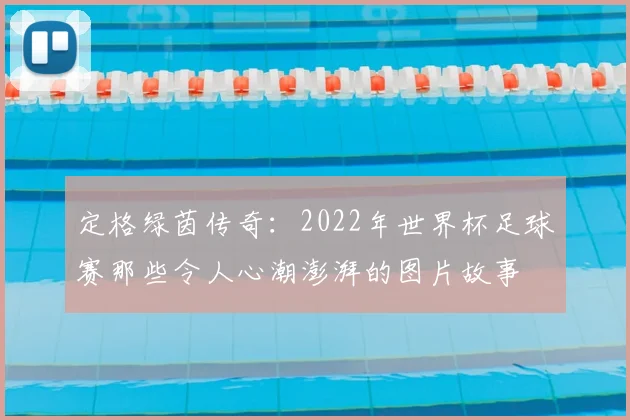 定格绿茵传奇:2022年世界杯足球赛那些令人心潮澎湃的图片故事